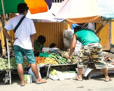Fresh Fruits