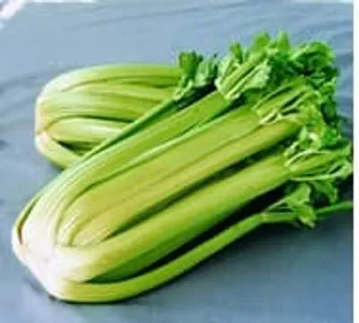 Celery Extract
