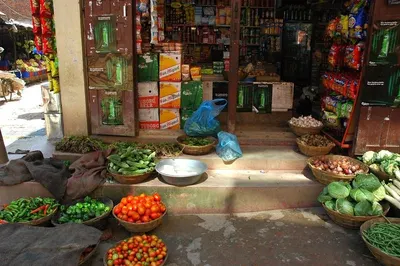 Vegetable