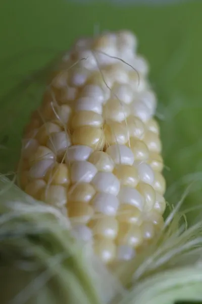 Corn Silk
