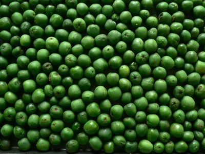 Fresh Green Peas