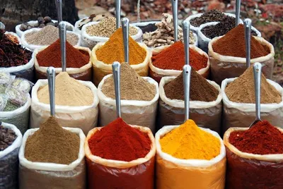 Exotic Indian Spices