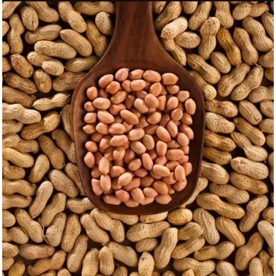 Peanuts
