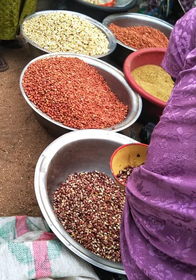 Pulses