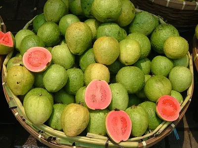 Fresh guava high quality from vietnam