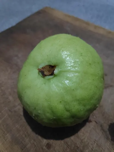 Huge Cherimoya From Peru