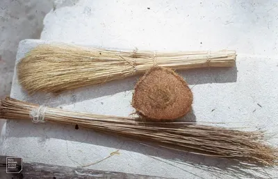 Palm Broomstick