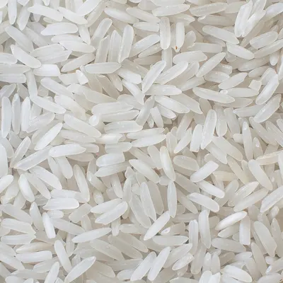 Rice