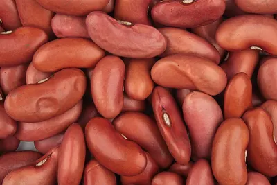 China Kidney Bean