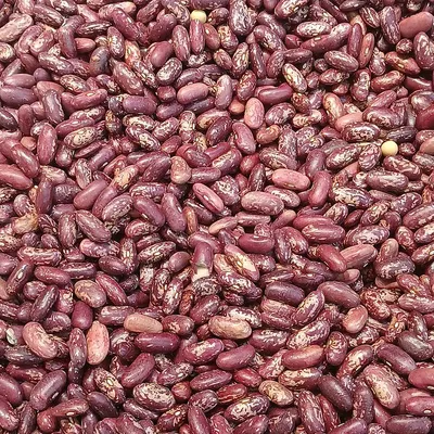 Lighte speckled kidney beans