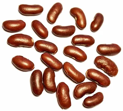 Kidney Bean