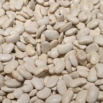 White Pea Beans