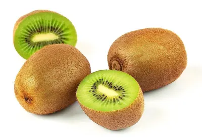 Beech Forest Honeydew 500g