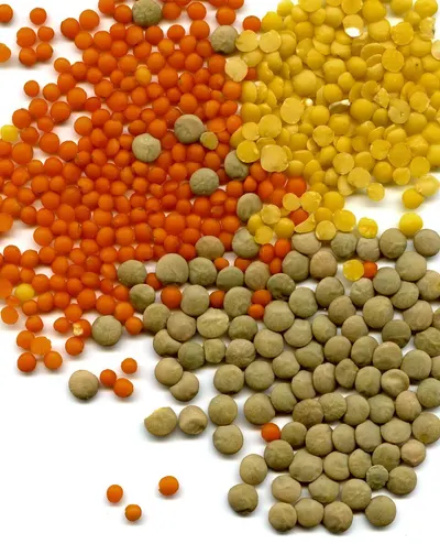 Disperse Yellow & Orange