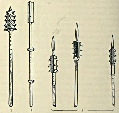 Palisade