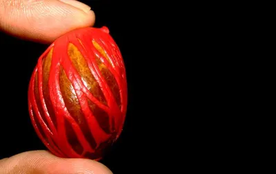 Christmas Painted Coloured Ball by Anqing Mihon Trading Co., Ltd