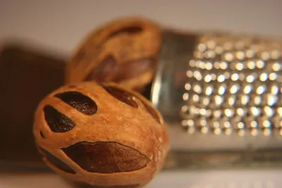 Nutmeg
