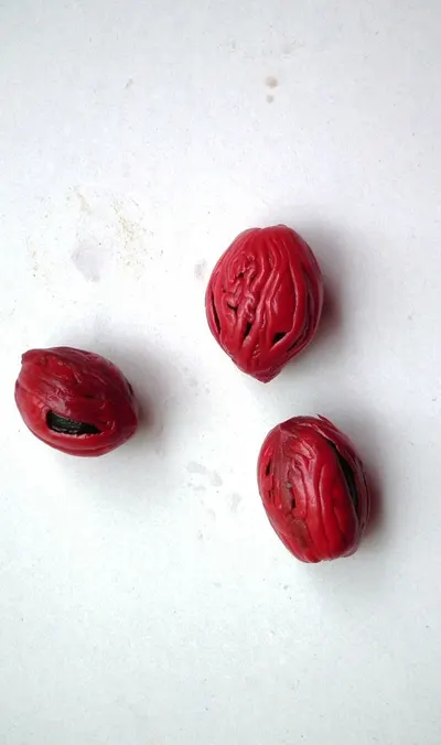 Roselle sweet meat
