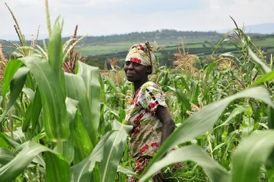 Uganda