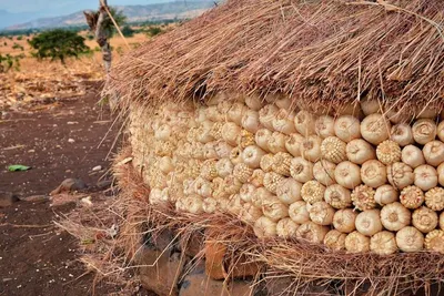 Rattan Ball by Blue Lotus Exim Co., Ltd.