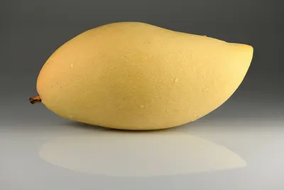 Potato
