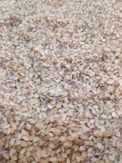 Rice husk