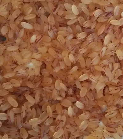 CIC Red Fragrant Rice (Low GI 48) 1Kg (x20)