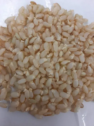 Crispy Puffed Rice Cake