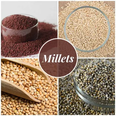 Millets Food Products