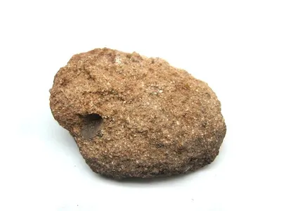 Yellow Millet