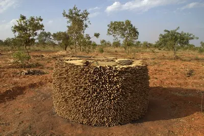 Zimbabwe Shona Stone Curvings And Artifacts