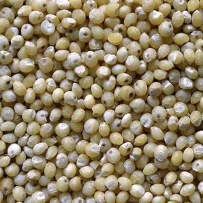 White & Black Pepper