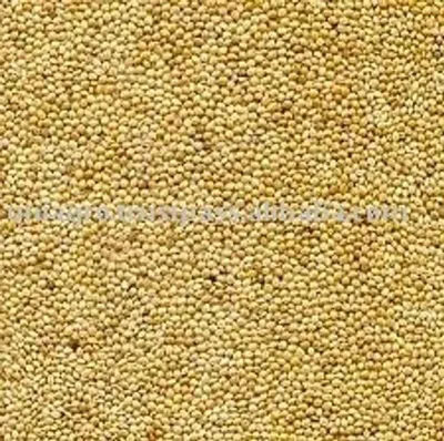 Green Millet (Bajra)
