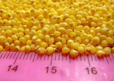 Kazhani Millet Health Mix
