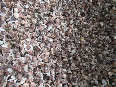 Garnet Abrasive Sand