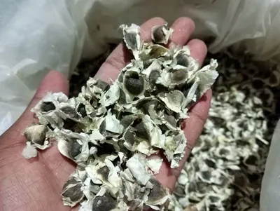 Crushed bone
