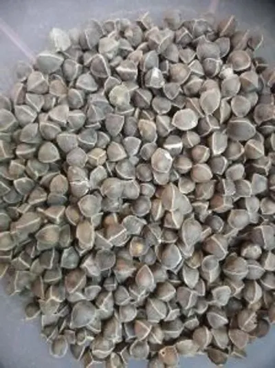 Hulled Buckwheat Kernels