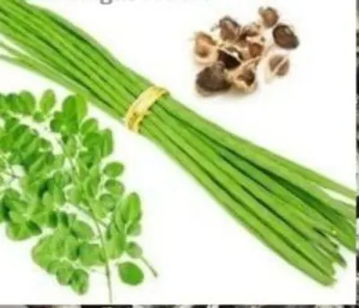 Yuhan M Bio Anchovy Calcium