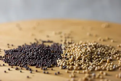 Quinoa Grains & Seeds