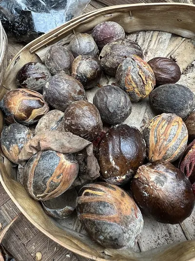 soap nuts