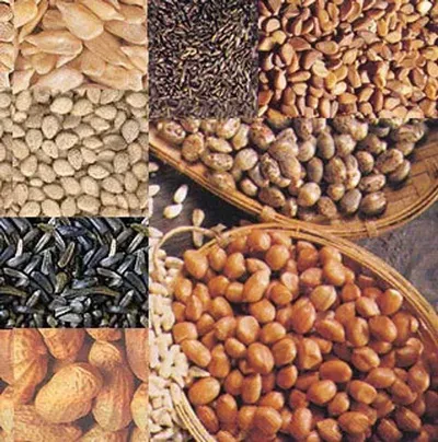 Nuts Roasting, Salting, Coating Machines, Sieves
