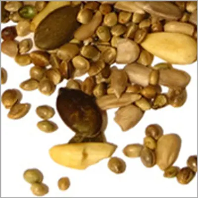 Needle oil