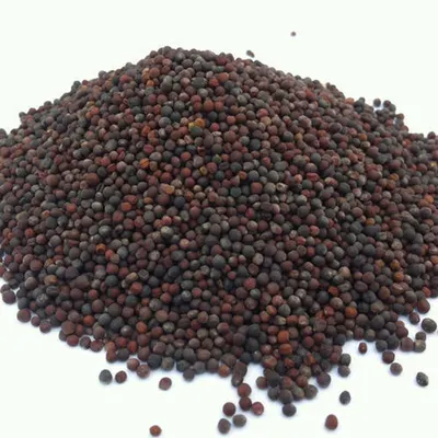 Black Pepper 500 gr/l ASTA