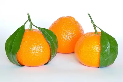 NanFeng Honey Orange