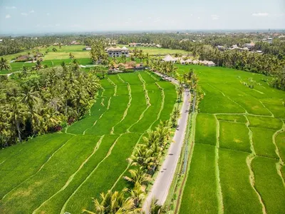 Ovale Lulur Bali