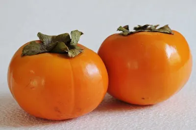 Tomato Hybrid