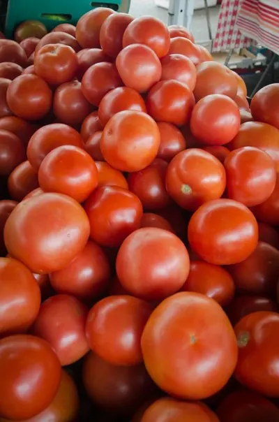 High quality tomato lycopene