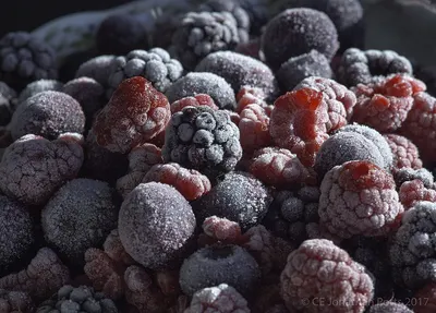 Frozen Blackberry by Hz Ssly International Co., Ltd.