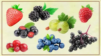 Antioxidant 1024