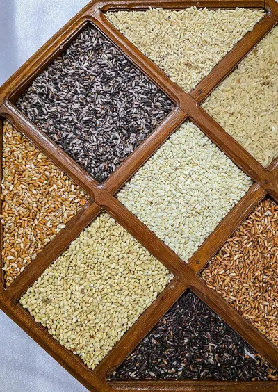 Agro Product -Seeds Variety